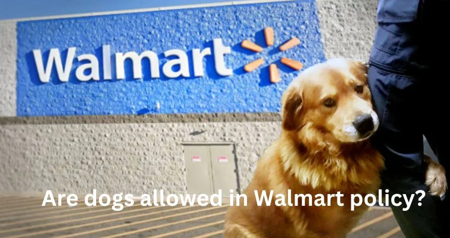 Are dogs allowed in Walmart policy