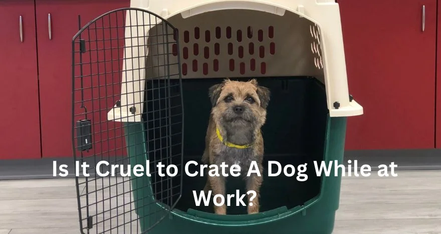 Is It Cruel to Crate A Dog While at Work