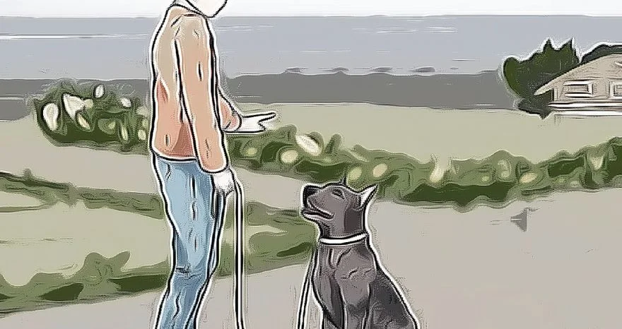 Leash Training a Dog