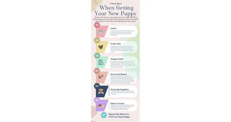 Must Do's When Getting Your New Puppy