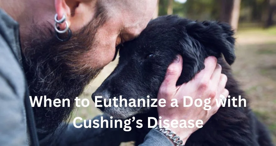 When to Euthanize a Dog with Cushing’s Disease