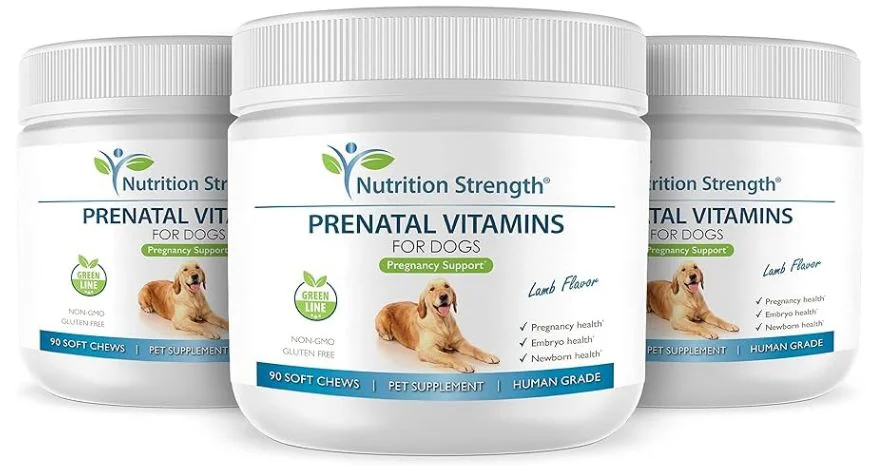 Why are Prenatal Supplements Essential for Pregnant Dogs?